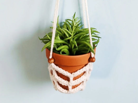Free Crochet Pattern: Chevron Hanging Planter