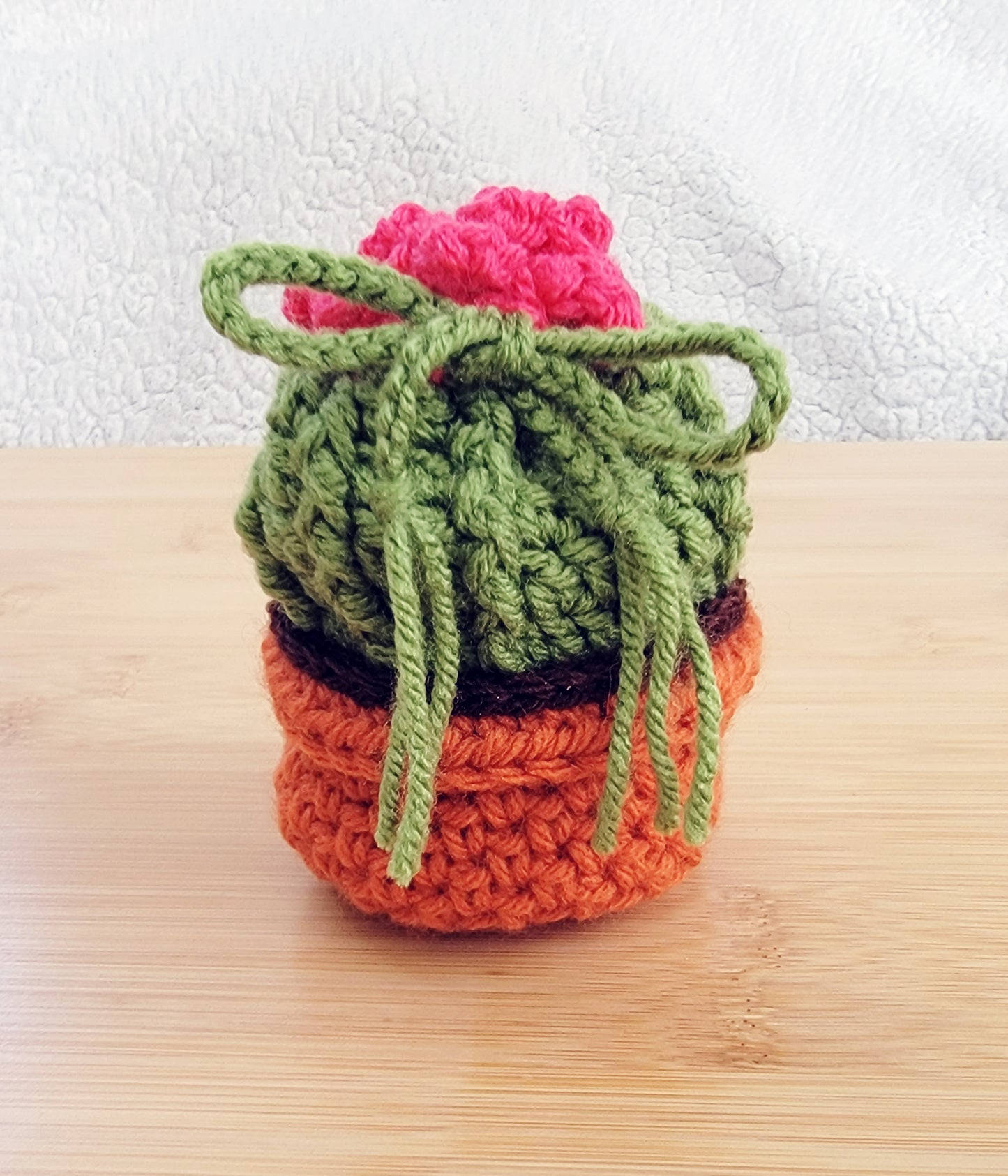 Cactus Dice Bag - Hand crocheted Draw String Pouch