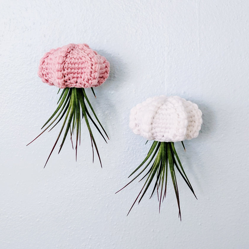 crochet air plant hanger pattern free Crochet Pattern: Jellyfish Hanging Air Planter