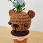Quirky cute bear plant - Hand crocheted home decor