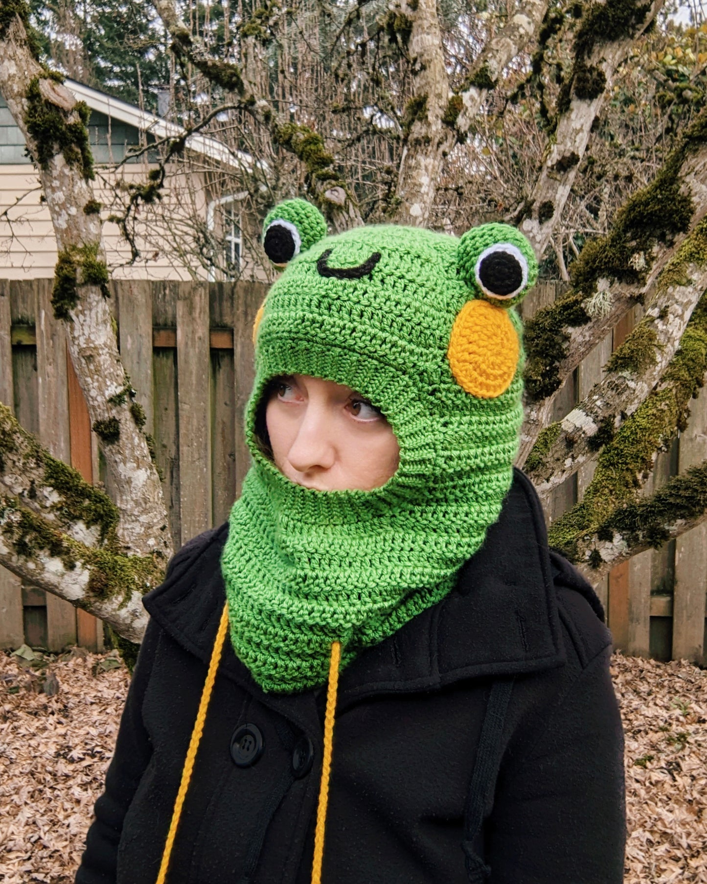 Crochet Pattern: Froggy Balaclava