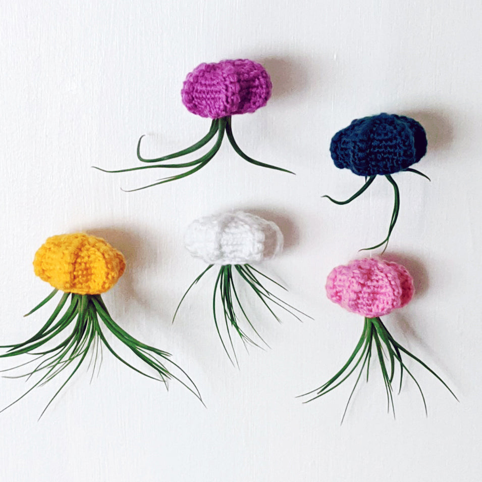 Crochet Pattern: Jellyfish Hanging Air Planter