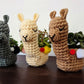 Crochet Pattern: Llama Planter
