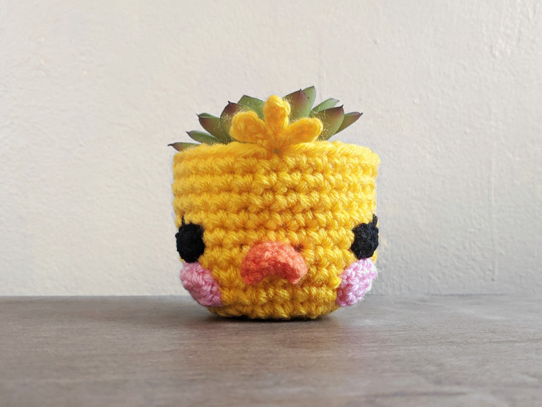 Adorable Ducky Planter - Pot Cover for 2" Pots - Sample Sale