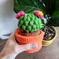 Crochet Pattern: Cactus Trinket Box