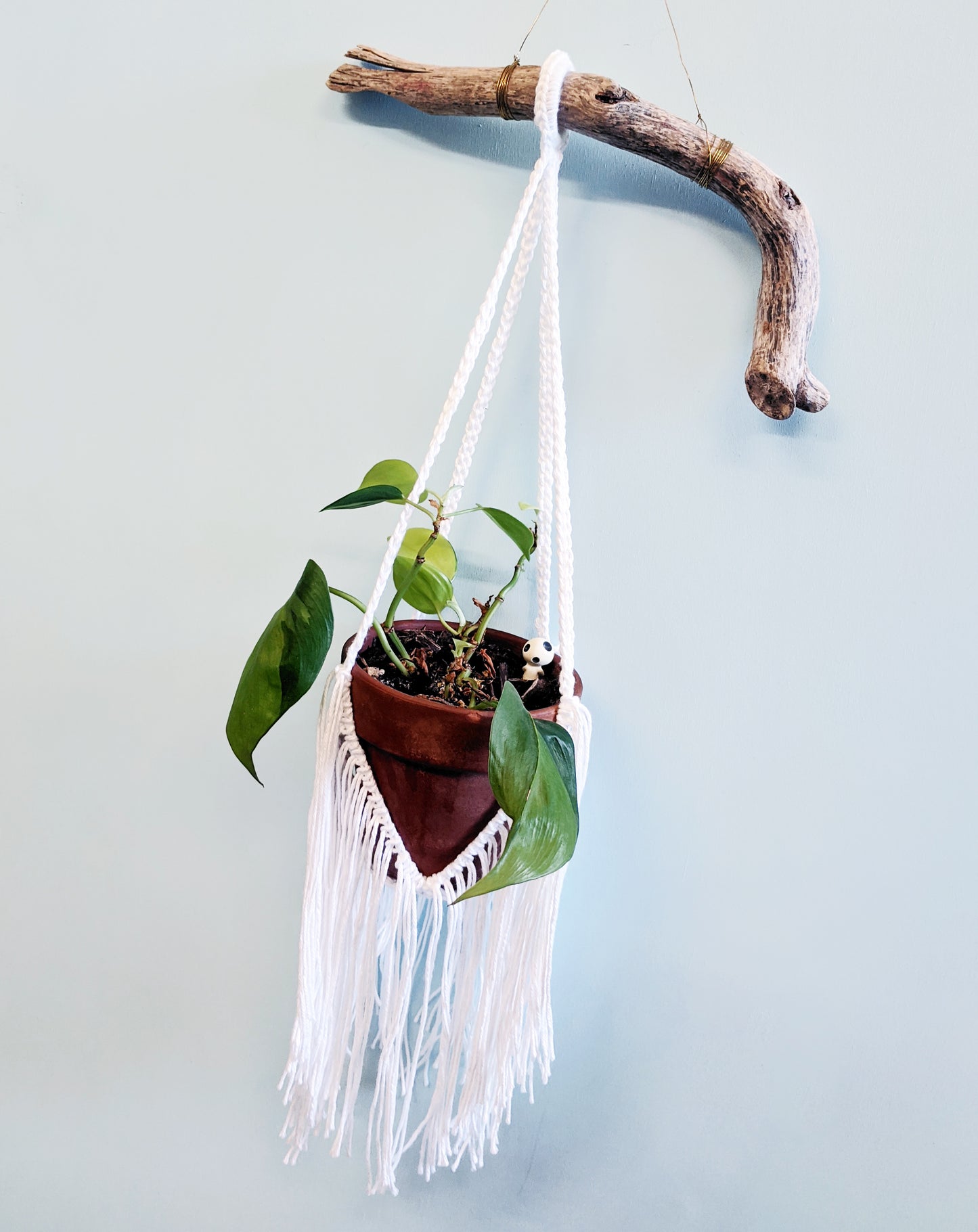 Crochet Pattern: Fringe Hanging Planter