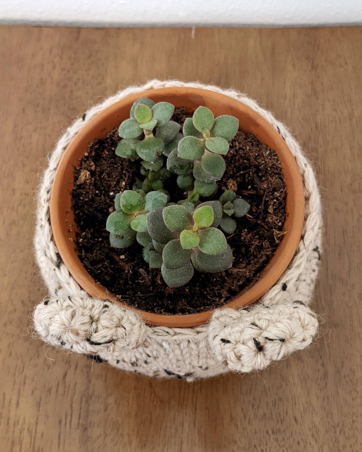 Crochet Pattern: Sweet Bunny Planter